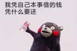 河间债务清欠服务